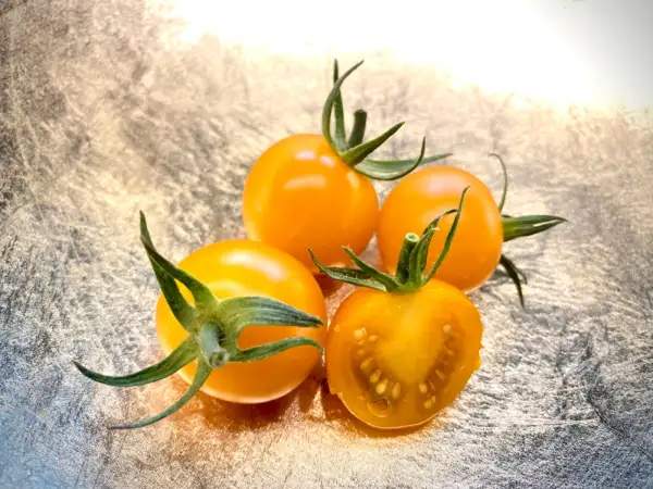 Tomaten: Goldita