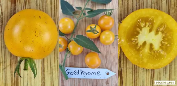 Tomaten: Goldkrone - Massenträger