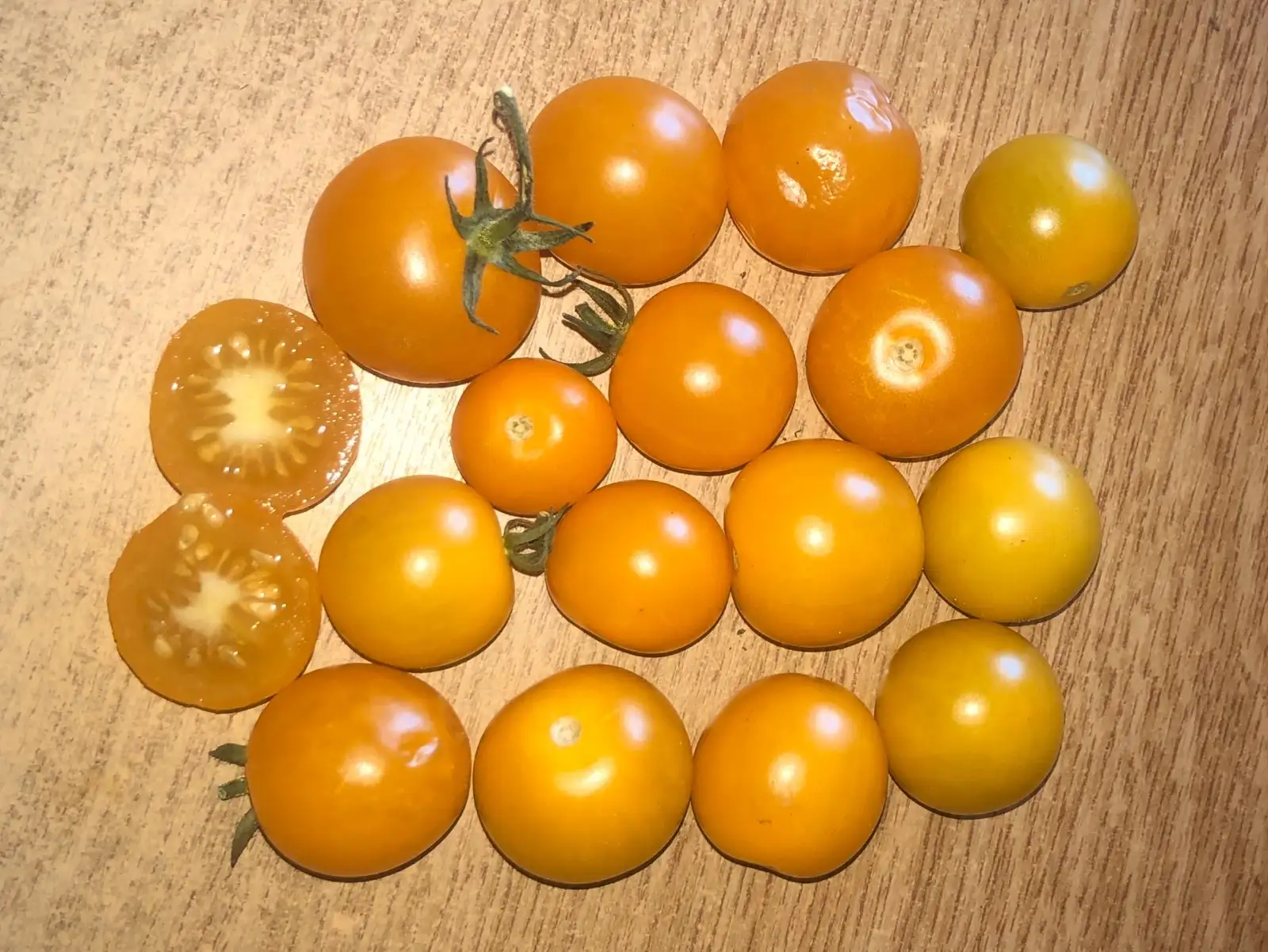 Tomaten: Goldkrone