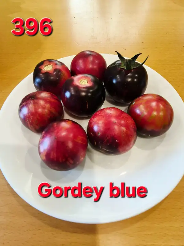 Tomaten: Gordey blue