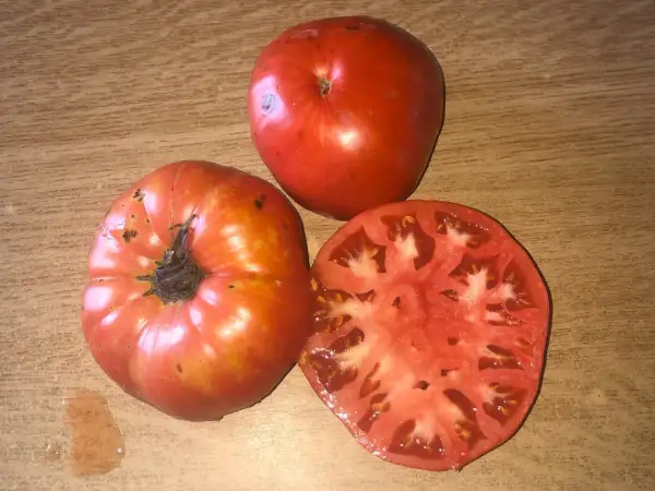 Tomaten: Gordo de El Escorial