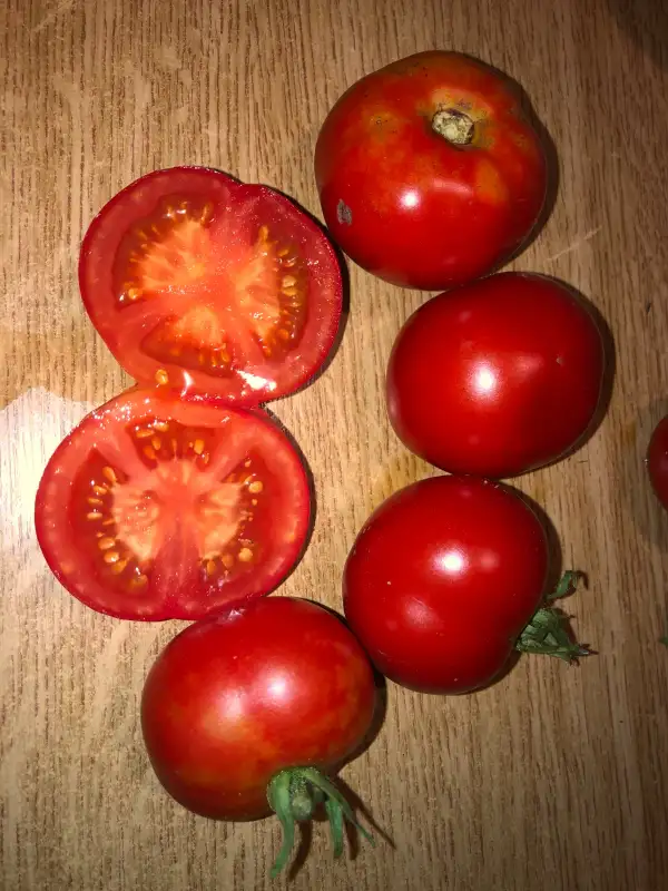 Tomaten: Gordo de la Huerta de Toledo