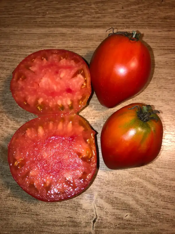 Tomaten: Goryacheye Serdtse