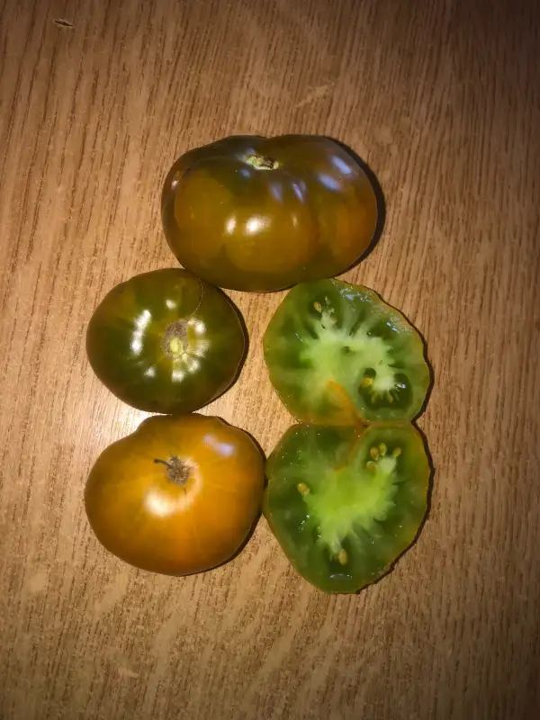 Tomaten: Grüene Helarios