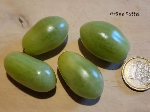 Tomaten: grüne Dattel