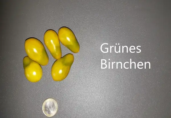 Tomaten: Grünes Birnchen