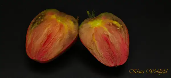 Tomaten: Grünes Horn