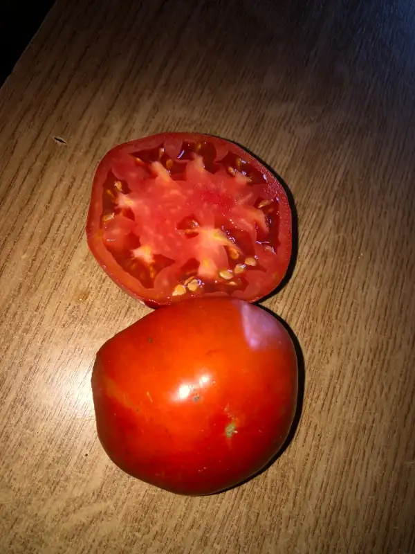 Tomaten: Graf Batthyàny