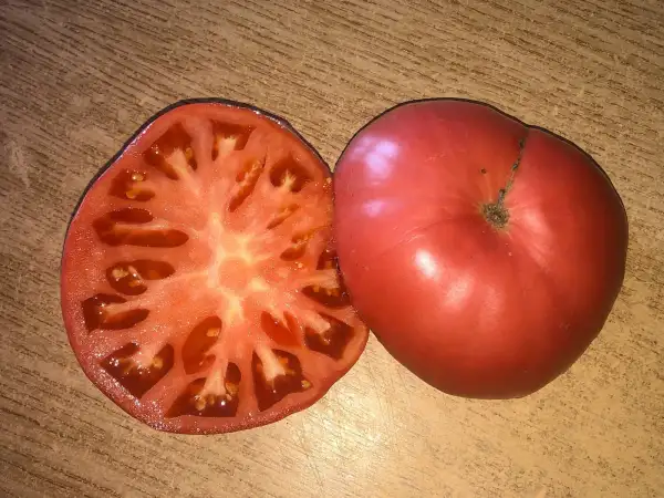 Tomaten: Grandfather