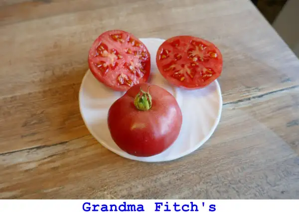 Tomaten: Grandma Fitch’s