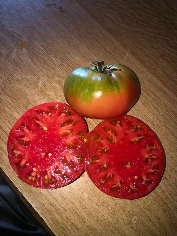 Tomaten: Grandpa