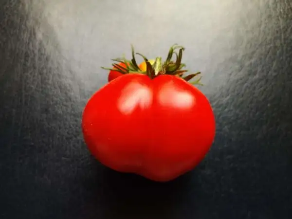 Tomaten: Granny’s Heart