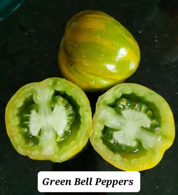 Tomaten: Green Bell Peppers