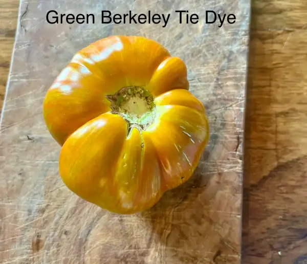 Tomaten: Green Berkeley Tie Dye