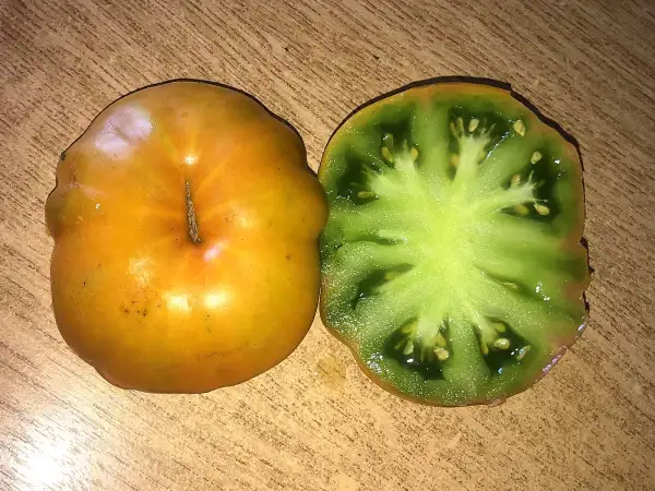 Tomaten: Green Blush