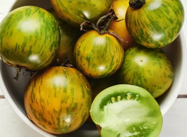 Tomaten: Green Bumblebee