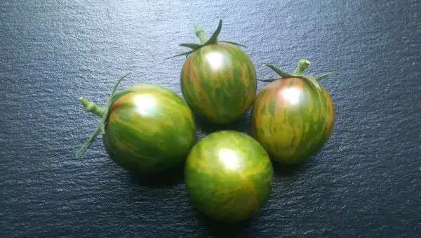 Tomaten: Green Bumblebee