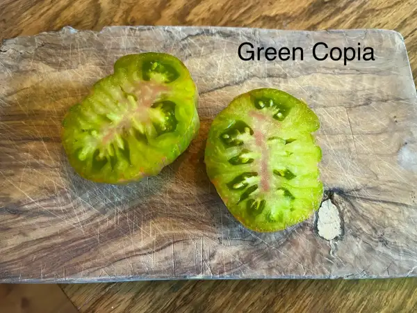 Tomaten: Green Copia