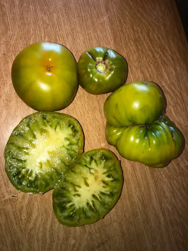 Tomaten: Green Diamond