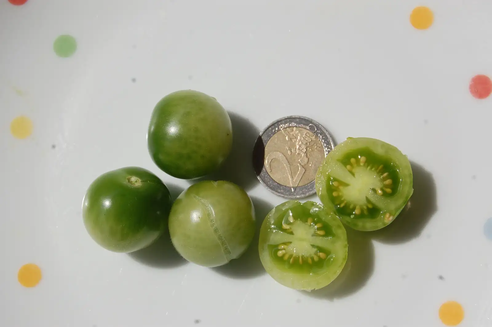 Tomaten: Green Doctors