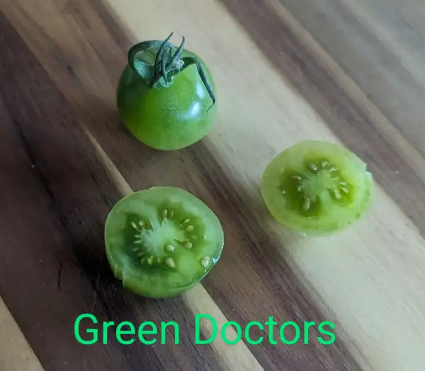 Tomaten: Green Doctors