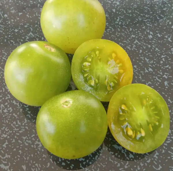 Tomaten: Green Doctors