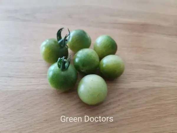 Tomaten: Green Doctors