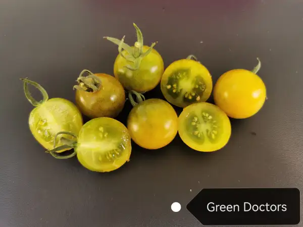 Tomaten: Green Doctors