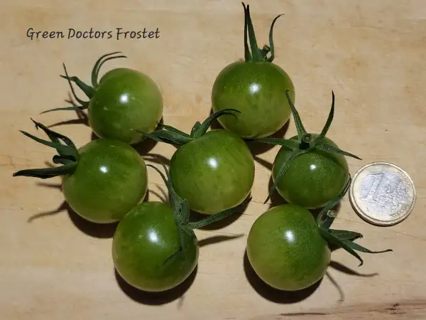 Tomaten: Green Doctors Frosted