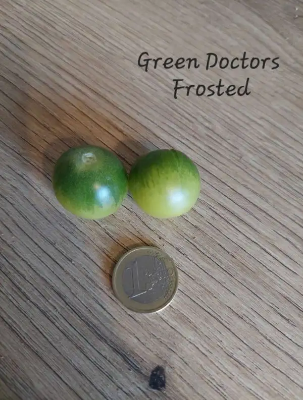 Tomaten: Green Doctors Frosted