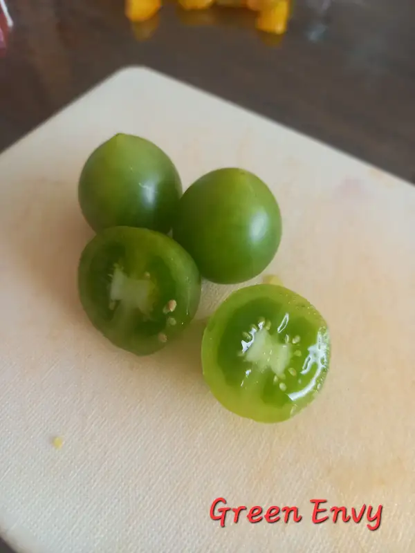 Tomaten: Green Envy