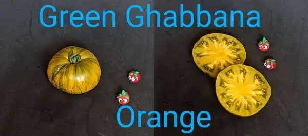 Tomaten: Green Ghabbana Orange