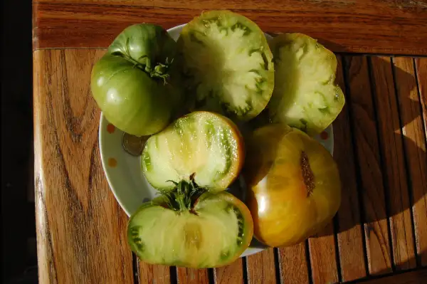 Tomaten: Green Giant