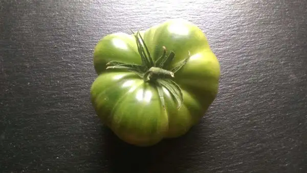 Tomaten: Green Giant