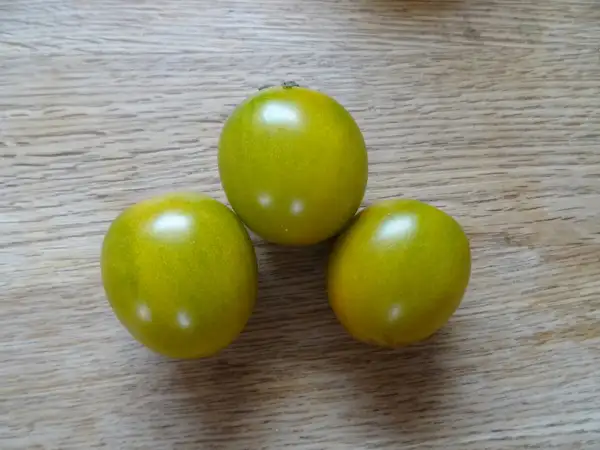 Tomaten: Green Grape