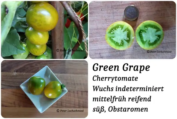 Tomaten: Green Grape