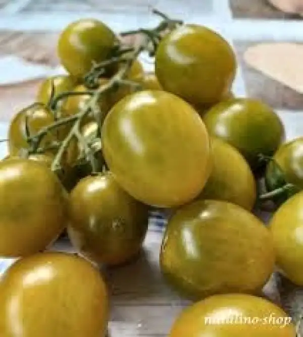 Tomaten: Green Grape