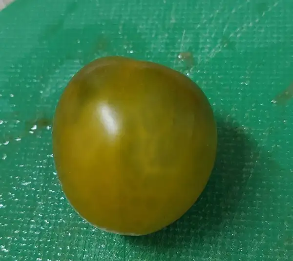 Tomaten: Green Grapes