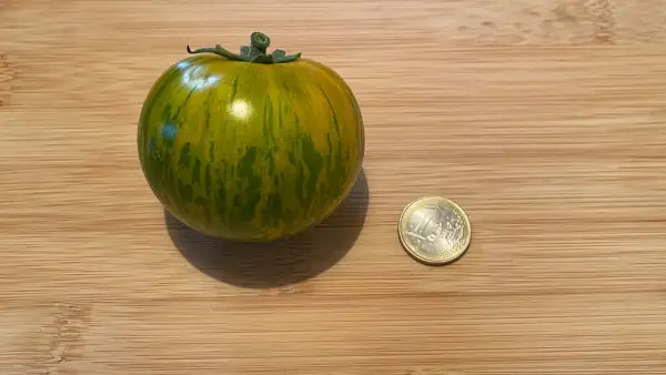 Tomaten: Green Lantern Lights