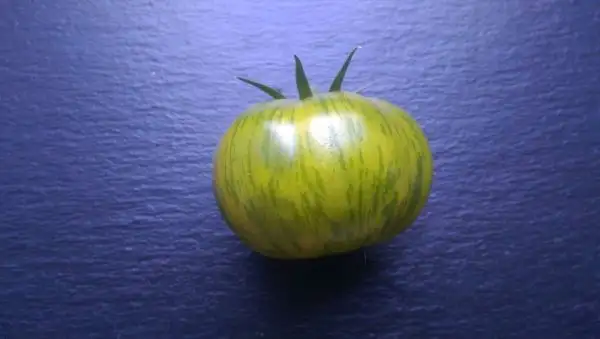 Tomaten: Green Lanterns Lights