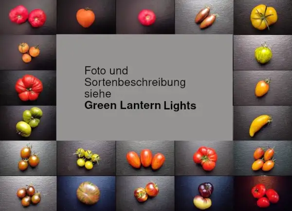 Tomaten: Green Lights