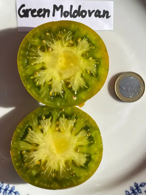 Tomaten: Green Moldovan