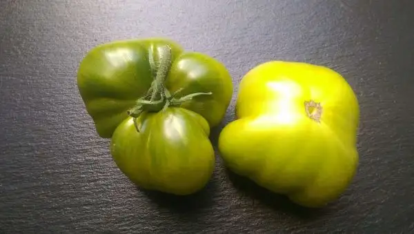 Tomaten: Green Moldovan