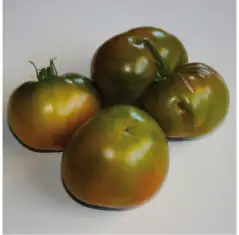 Tomaten: Green Moldovan