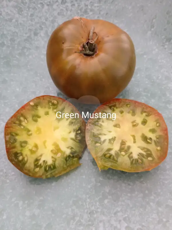 Tomaten: Green Mustang