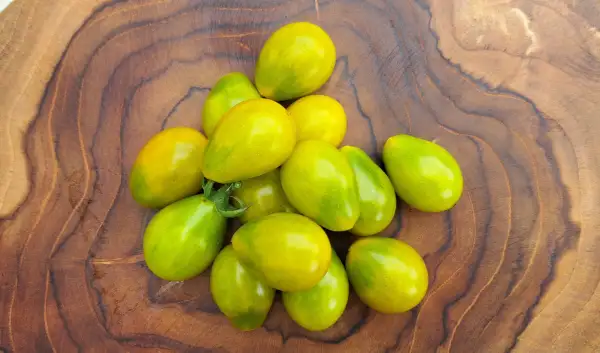 Tomaten: Green Pear