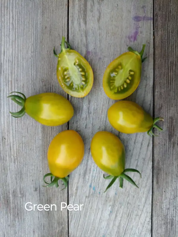 Tomaten: Green Pear