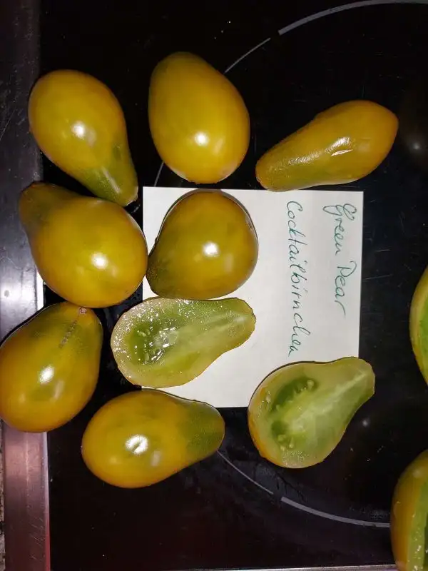 Tomaten: Green Pear