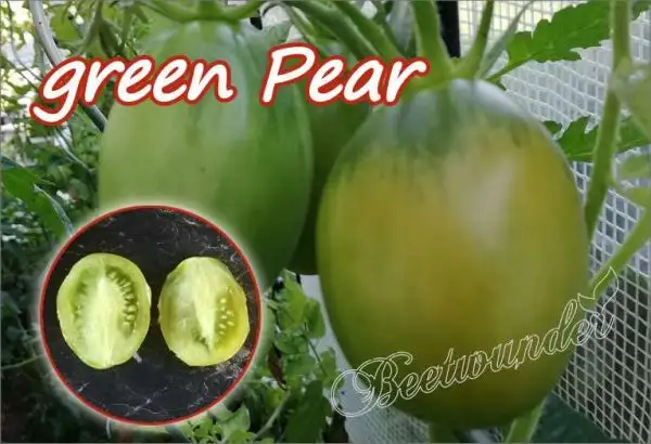 Tomaten: Green Pear