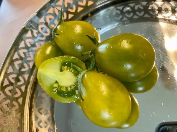 Tomaten: Green Pear